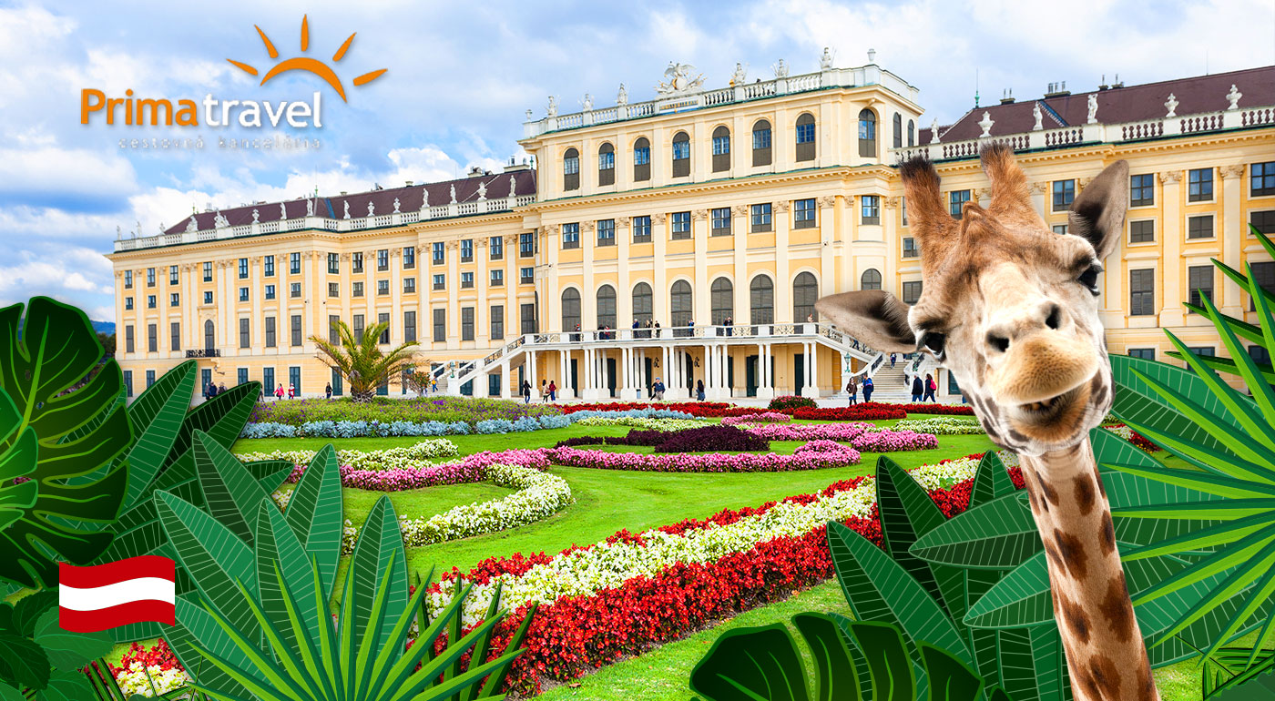 To najkrajšie z Rakúska - najlepšia ZOO v Európe, zámok Schönbrunn a nádherné francúzske záhrady