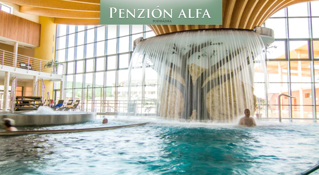 Pohoda pri termálnom kúpalisku na juhu Slovenska v Penzióne Alfa so skvelými zľavami do Rímskych kúpeľov