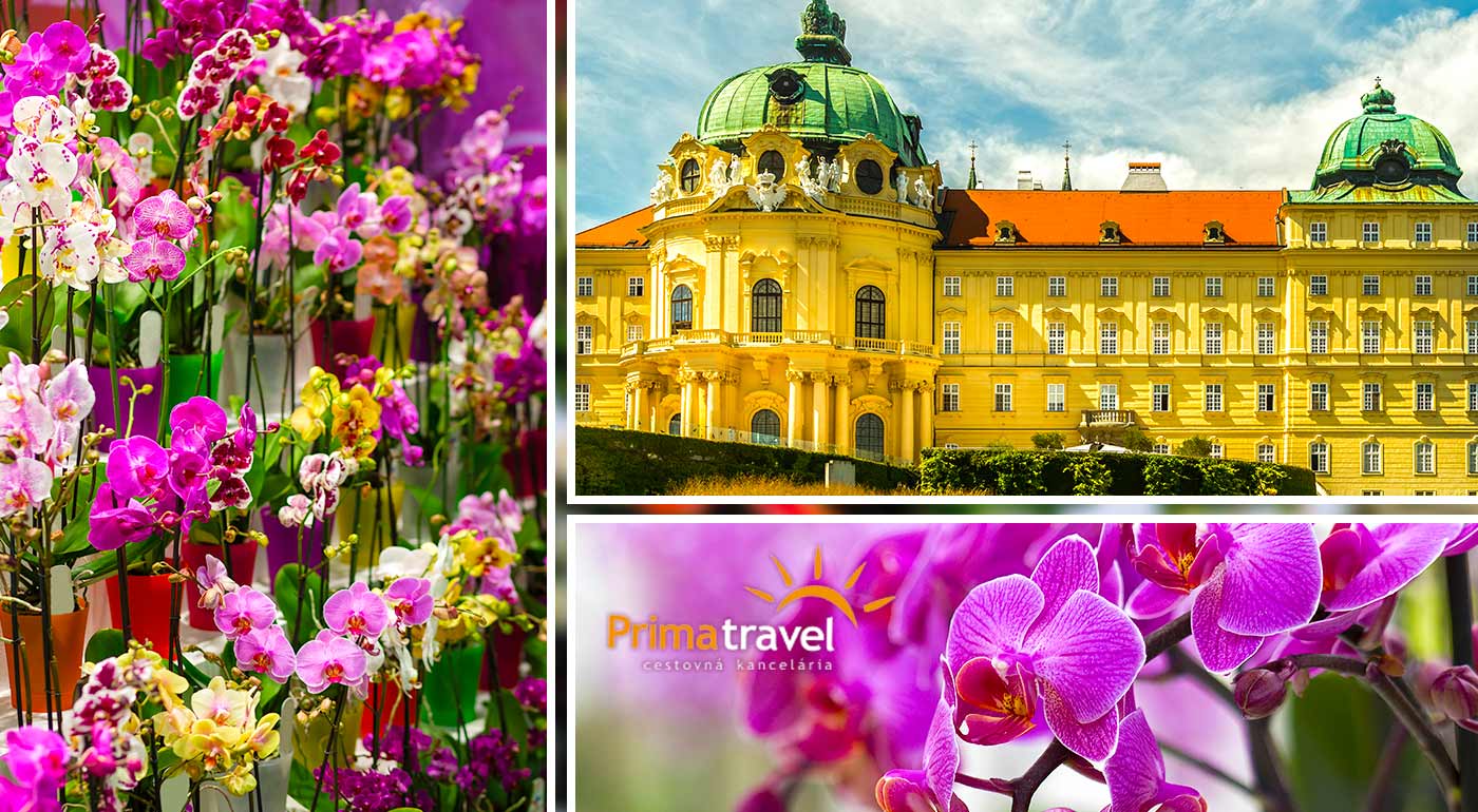 Urobte si deň v znamení nádherných orchideí, lahodného vína a navštívte múry starobylého kláštora v Klosterneuburgu