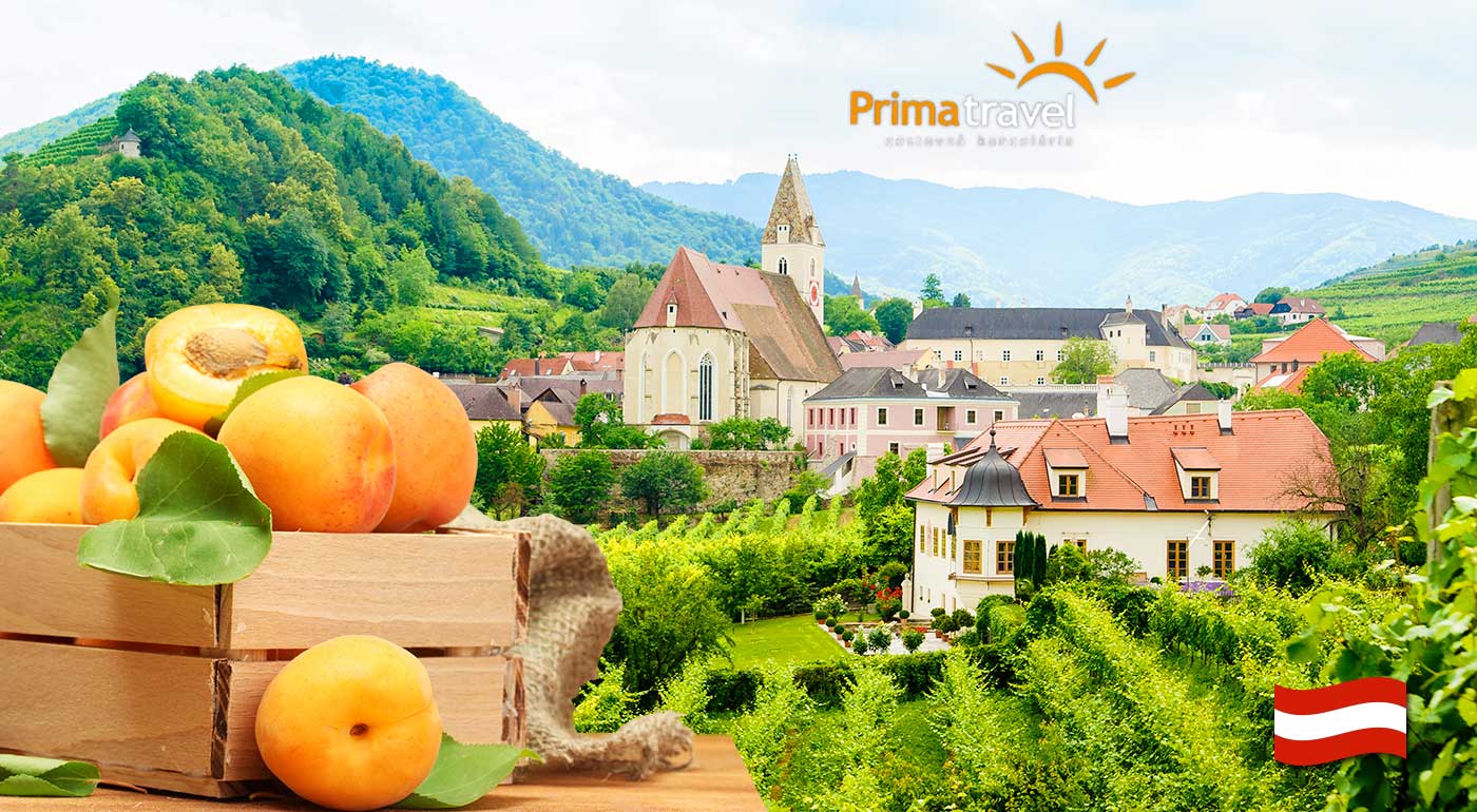 Marhuľové slávnosti a nádherné údolie Wachau - jednodňový zájazd s CK Prima Travel