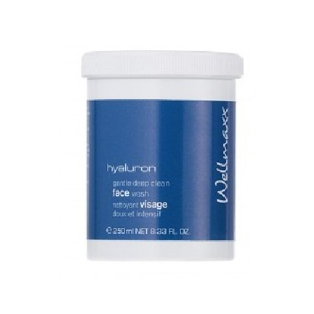 Wellmaxx Hyaluron - čistiaca emulzia facewash (250 ml)