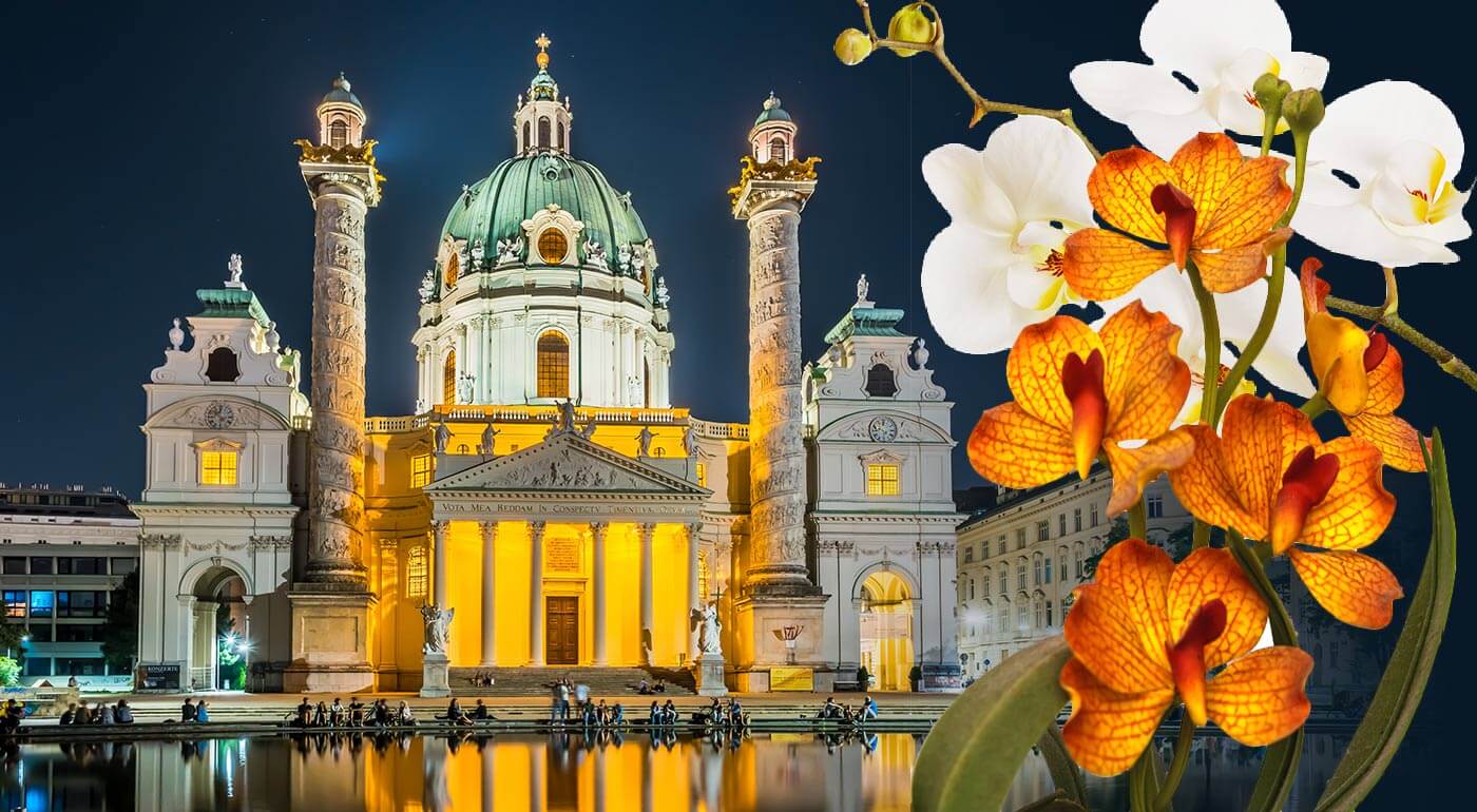 Viedeň: zájazd na výstavu orchideí a tillandsií, ktorý vám do života vnesie kus exotiky