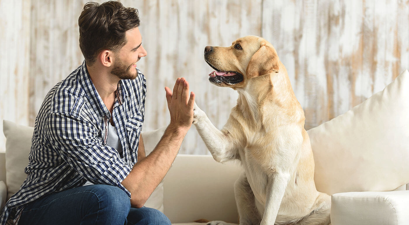 Žuvacie tablety pre psov Vet´s Best - na posilnenie imunity, kĺbov a srsti vašich miláčikov