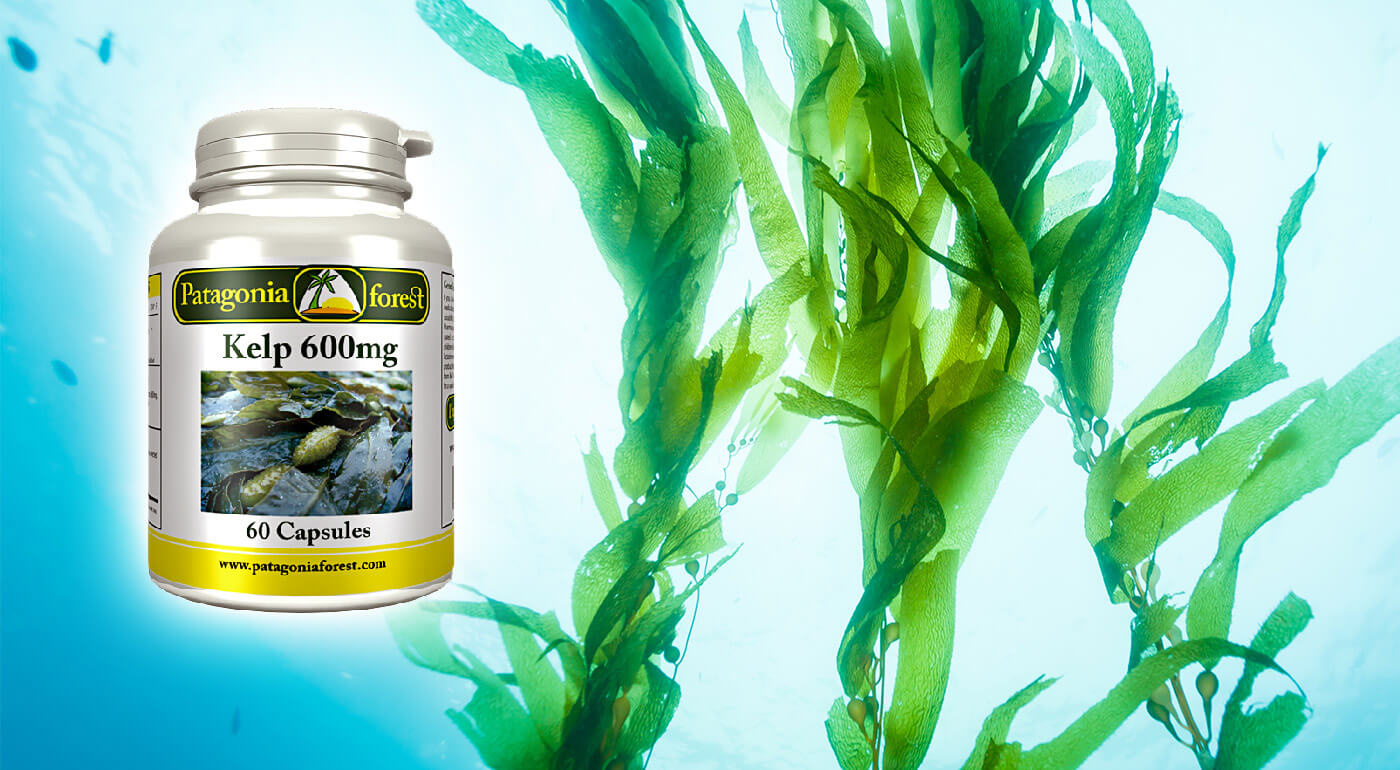 Prírodný doplnok výživy Kelp - zdroj viac ako 20 dôležitých minerálov a vitamínov