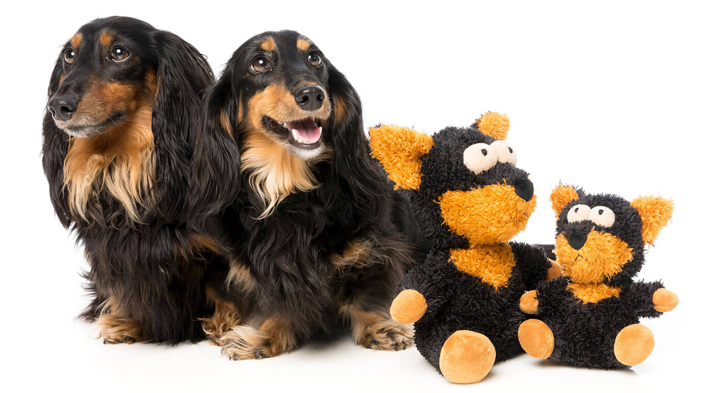 Hračky pre psov FuzzYard - maximálne bezpečné, dizajnové a iba u nás!