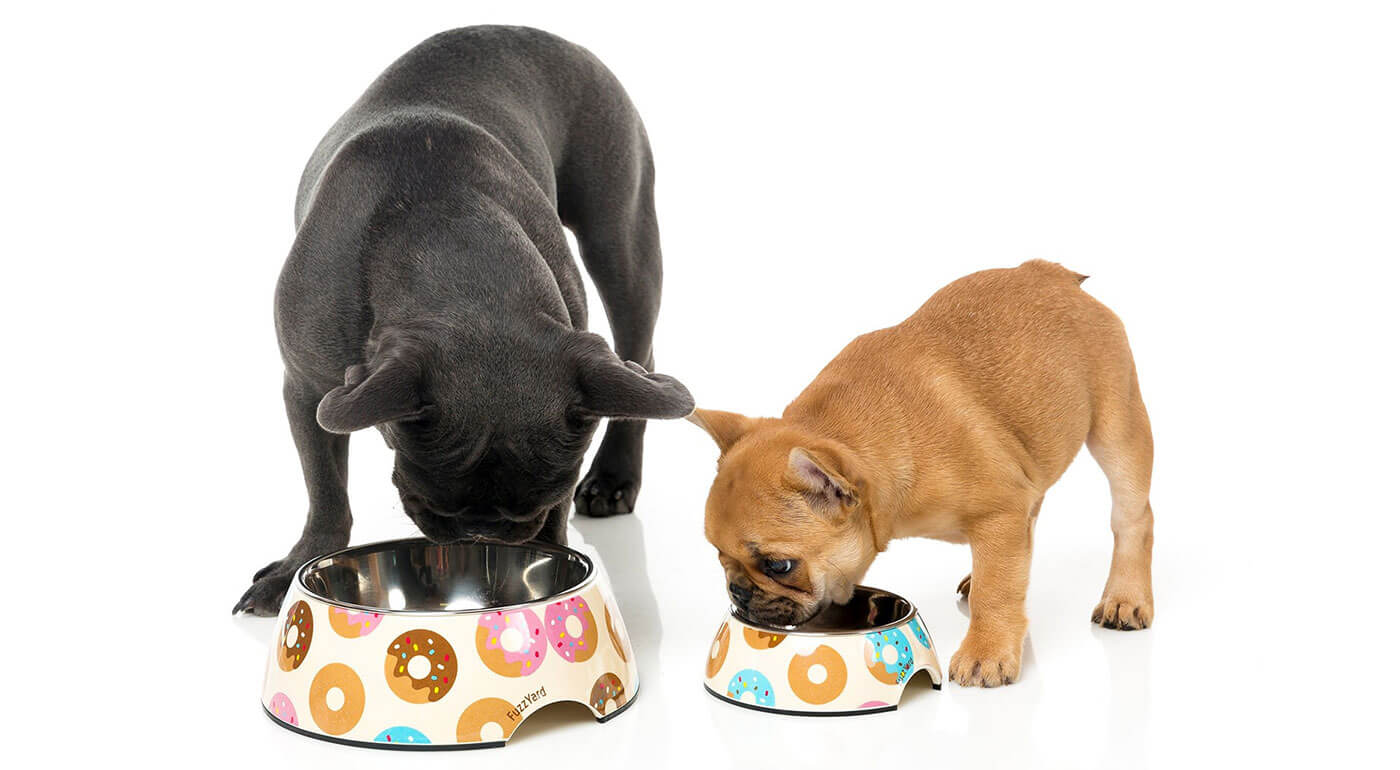 Dizajnové misky pre psov a mačky FuzzYard s vložkou z nehradzavejúcej ocele, bez obsahu BPA