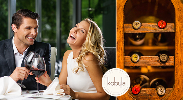 Posedenie pri exkluzívnom vínku pre dvoch s labužníckou misou v Café Kobyla v Bratislave