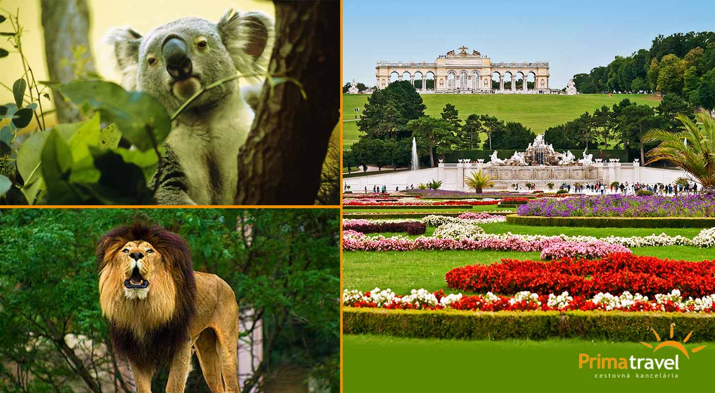 Zájazd do Viedne pre 1 osobu s návštevou viedenskej ZOO, zámku Schönbrunn a jeho krásnych záhrad